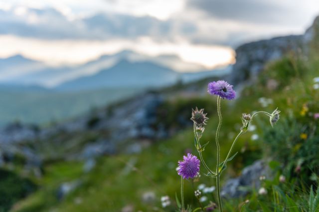 Summer holidays in Val Badia Image: Summer holidays in Val Badia