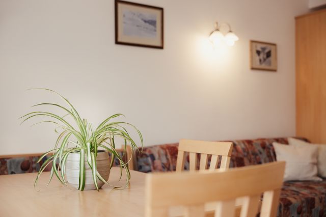 Apartment for two people in Alta Badia Image: Apartment 4