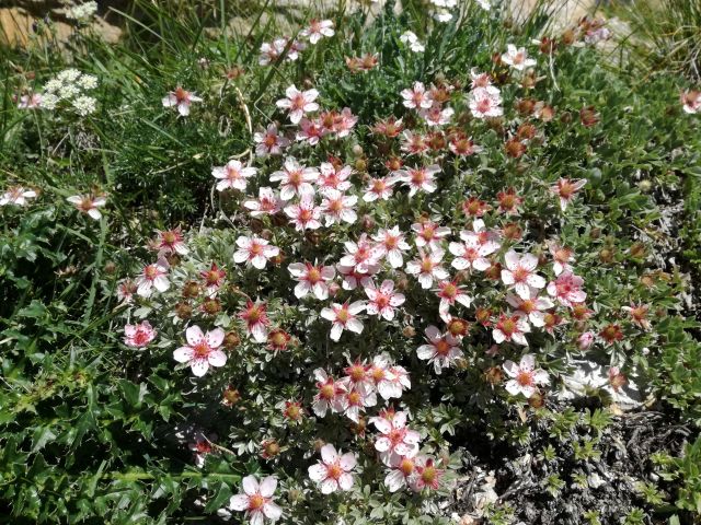 Immagine: Vacanze fuori stagione in Alta Badia